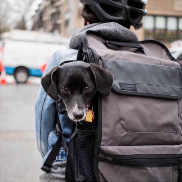 TIMBUK2 Muttmover Cat Dog Carrier Mesh Ventilated Walking Hiking City Backpack - Picture 1 of 16